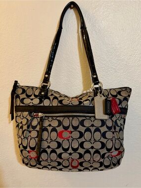 Coach Poppy Embroidered Signature C Glam Tote